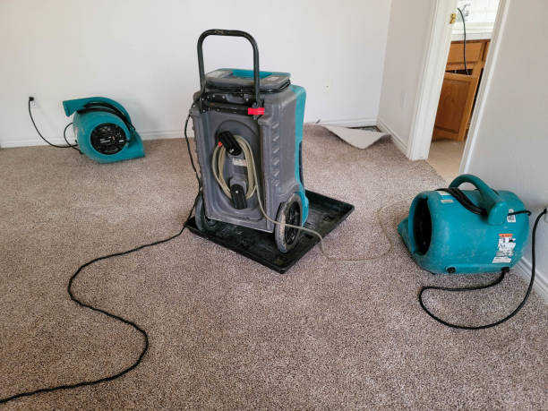 Best Fire Damage Restoration  in Monmouth Junction, NJ