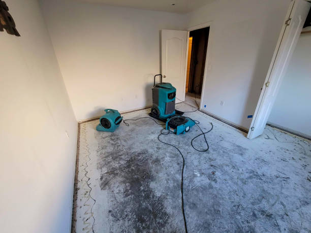 Best 24-hour water damage restoration  in Monmouth Junction, NJ