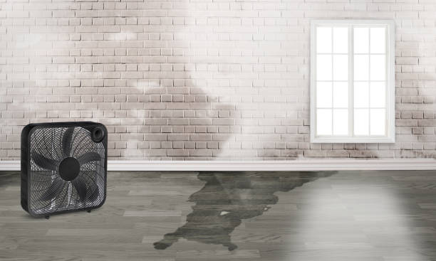 Best Commercial water damage restoration  in Monmouth Junction, NJ