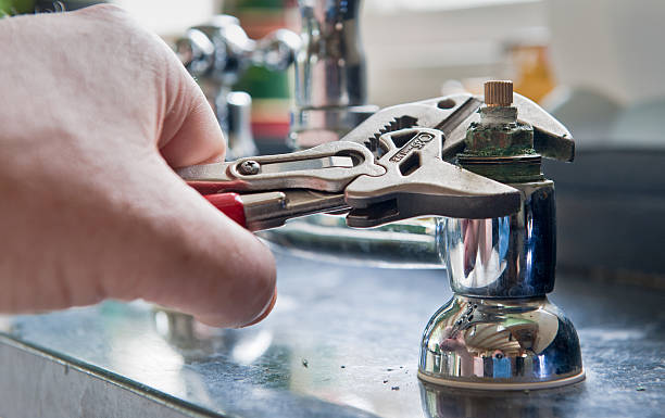 Best Flood damage cleanup  in Monmouth Junction, NJ