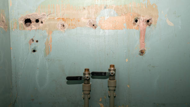 Best Flooded house restoration  in Monmouth Junction, NJ
