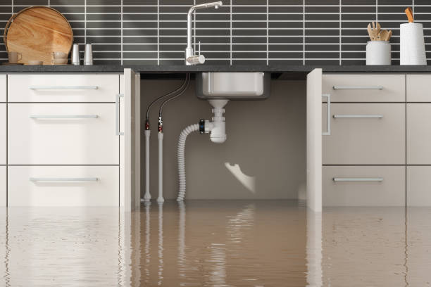 Best Mold removal after water damage  in Monmouth Junction, NJ