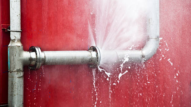 Best Water damage cleanup near me  in Monmouth Junction, NJ